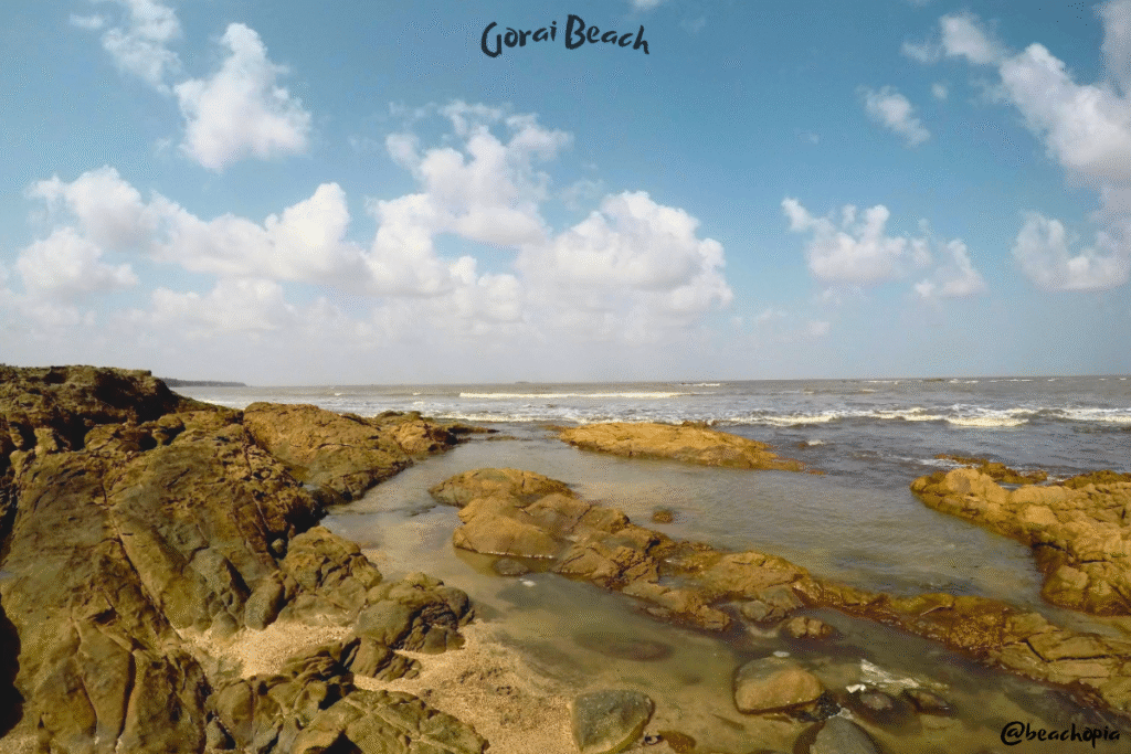 Gorai Beach, top 10 beaches in mumbai